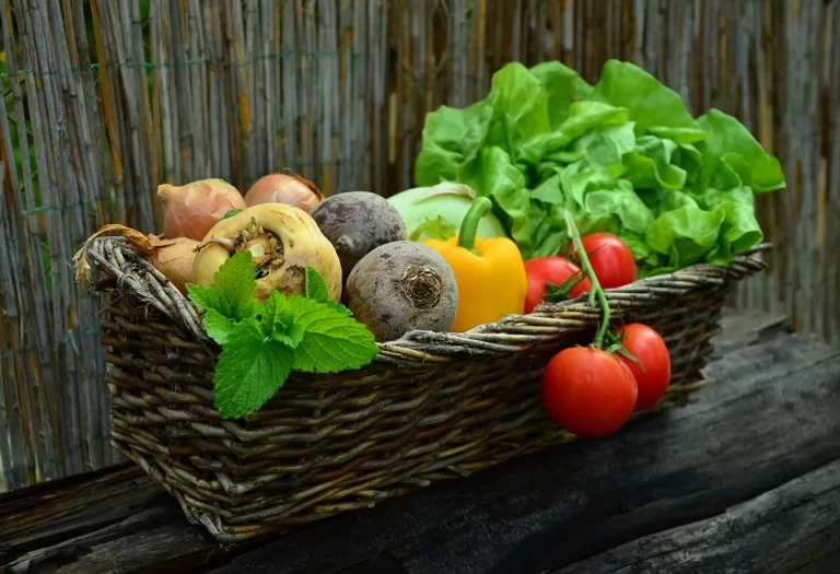 Bisnis Salad Sayur